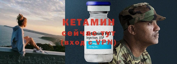 прущие грибы Саяногорск