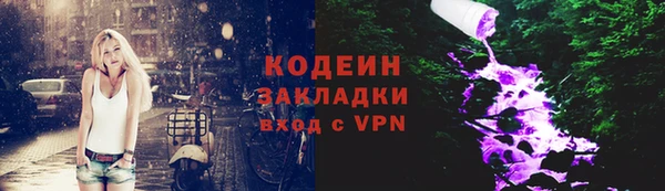 дурь Дегтярск