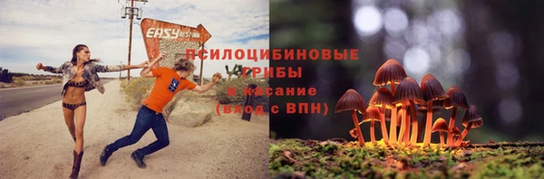 шишки Армянск