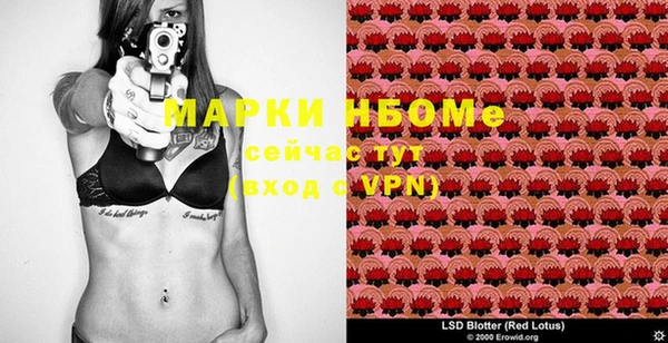 индика Абаза