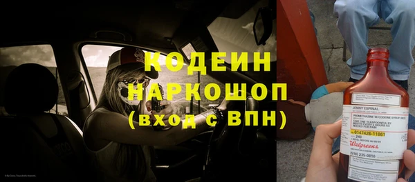 индика Абаза