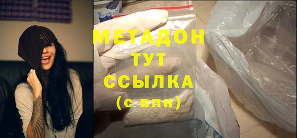 прущие грибы Саяногорск