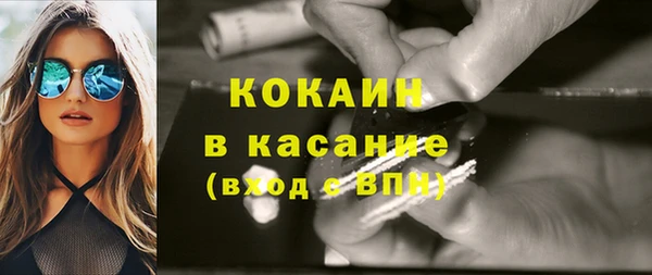 твердый Дедовск