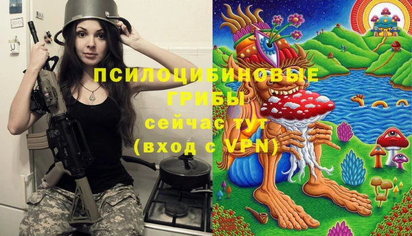 мескалин Алексин