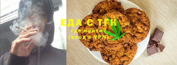 индика Абаза