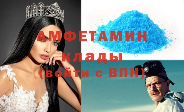 индика Абаза