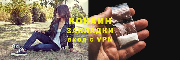 индика Абаза
