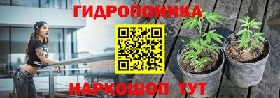 тгк Пушкино