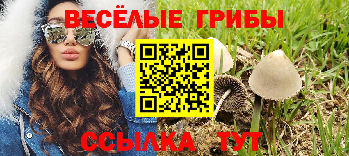 Галлюциногенные грибы GOLDEN TEACHER Арсеньев